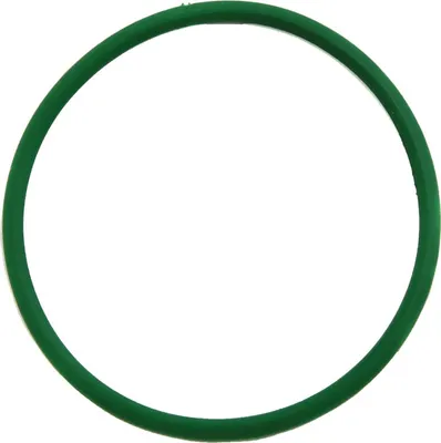 Immagine prodotto di O-ring del filtro di aspirazione grande AP15OS 220936 AGROPLAST