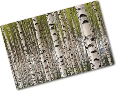 Produktbild von Tulup Glas Herdabdeckplatte - 80x52 cm - Glaskeramikkochfeld-Abdeckung Spritzschutz Glasabdeckplatte - Einteilig - Blumen & Pflanzen - Birkenwald - Weiß
