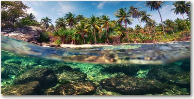 Produktbild von Tulup® Leinwandbild - 140x70 cm - Wandkunst - Drucke auf Leinwand - Leinwanddruck  - Landschaften - Mehrfarbig - Exotischer Strand