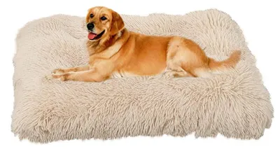 Image de Coussin moelleux pour chien, en peluche longue, dimensions 94x63 cm, couleur beige