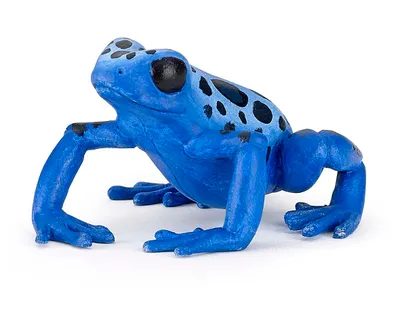Immagine prodotto di Papo, rana equatoriale blu, figura da gioco