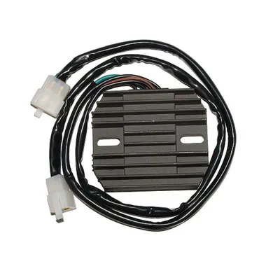 Obrázek produktu pro Regulátor nabíjení ElectroSport ESR 448
