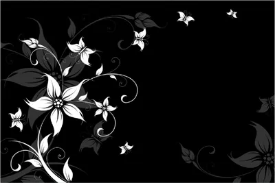 Produktbild von Wallario Poster - Blumenranke in Schwarz-Weiß, Kunstdruck Größe: 100 x 150 cm