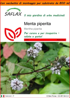 Immagine prodotto di SAFLAX Garden in the bag - Menta piperita - 300 semi - Mentha