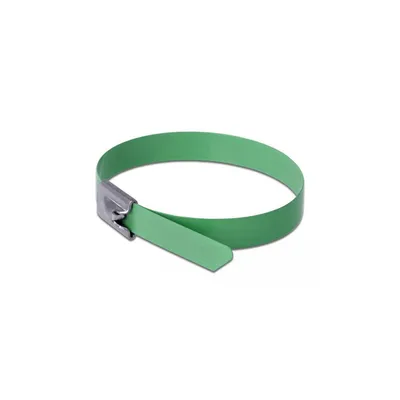 Immagine prodotto di DELOCK Edelstahlkabelbinder L 400 x B 7,9 mm grün 10 Stück