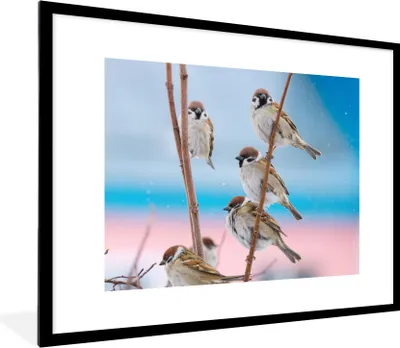 Produktbild von MuchoWow® Gerahmtes Poster Vögel - Spatz - Tiere - Äste 80x60 cm - Poster mit Schwarzem Bilderrahmen Wandposter Rahmen Foto Bilder - Schlafzimmer-Dekorationen - Fotoposter