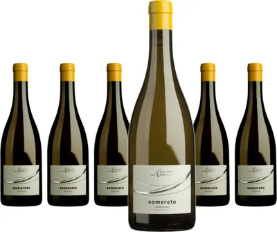 Produktbild von 6 x Cantina Andrian somereto chardonnay DOC