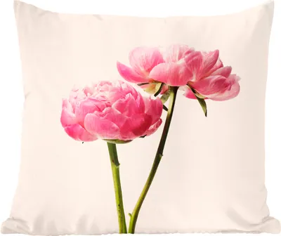 Produktbild von MuchoWow® Zierkissen Sofakissen Wohnzimmer Dekokissen 45x45 cm Blumen - Blüte - Rosa - Schlafpolster - Polster für das Sofa