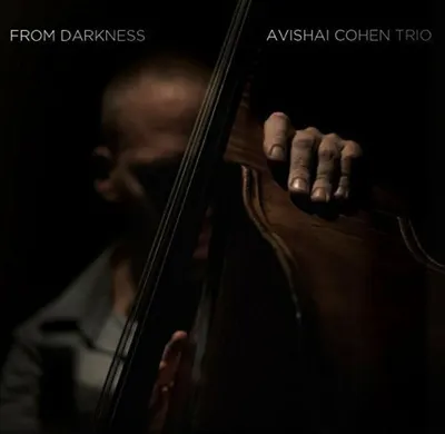 Image de Cohen,Avishai Trio-From Darkness
