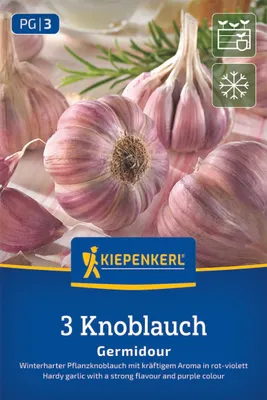 Productafbeelding van Kiepenkerl Winterteelt Knoflook Germidour - paars, Allium sativum, 3 knollen