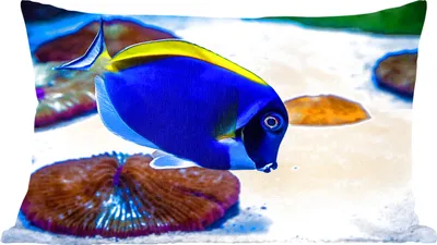 Produktbild von MuchoWow® Zierkissen Sofakissen Wohnzimmer Dekokissen 50x30 cm Fische - Tropisch - Bodengrund - Wohnzimmerdekoration - Polster mit Photo
