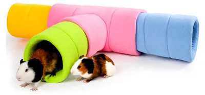 Produktbild von Meerschweinchen Tunnel, Vier stapelbare Tunnel für Meerschweinchen, ein rosa 3-Wege Tunnel und drei verschiedenfarbige 2-Wege Tunnel in Blau, Grün und Gelb