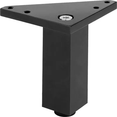 Image de Pied de meuble FA002 100 mm réglable noir mat