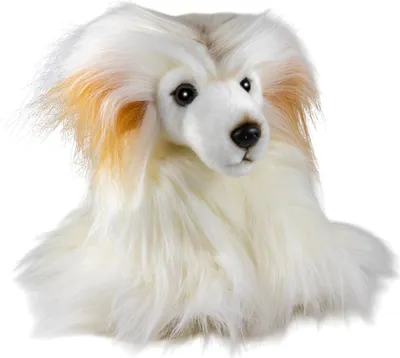 Image de Carl Dick Chien chinois à crête (Powderpuff) environ 25 cm Peluche, animal en tissu, doudou 3770