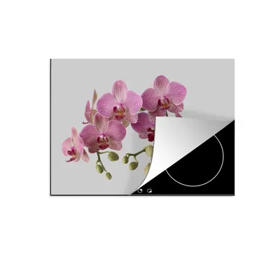 Produktbild von KitchenYeah© Herdabdeckplatte Orchideen auf grauem Hintergrund , 77x59cm, Küche Deko, Glaskeramikkochfeld Herdabdeckung, Abdeckplatte fùr Kochfeld