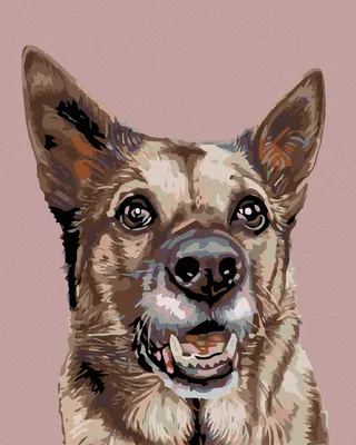 Produktbild von Diamondi - Diamond painting - WOLFSHÜNDIN, 40X50 cm, ohne Keilrahmen