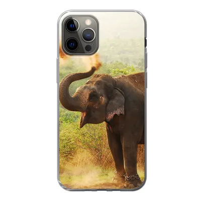 Produktbild von MuchoWow® Handyhülle Schutzhülle Hülle für iPhone 12 Pro Elefant - Tiere - Wald - Bäume Silikon Softcase Handy Hülle - Abdeckung