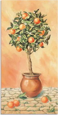 Produktbild von ARTland Wandbild Alu für Innen & Outdoor Orangenbaum I Größe: 30x60 cm