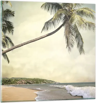 Produktbild von Bilder auf glas - Einteilig - Palme Strand Insel - 60x60cm - Glasbilder - Wandbilder - Bilder - zum Aufhängen bereit - Wanddekoration aus Glas - Glas Bilder - Wandbild auf Glas - GAC60x60-4154