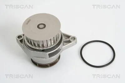 Image de TRISCAN Pompe à eau 8600 29027