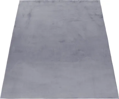Produktbild von Teppich Wohnzimmer Hochflor Grau 240x340 Rechteck Unicolor - Einfarbig aus Polyester