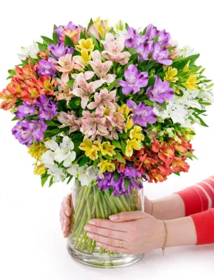 Produktbild von Blumenstrauß Farbtraum | Geschenk - frische Blumen | Blumenversand von BLOOMY DAYS