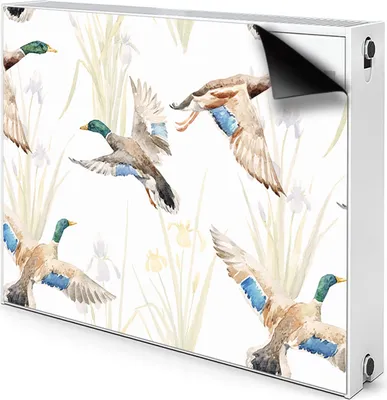 Produktbild von Magnet Heizkörperverkleidung Heizkörper-Abdeckung Heizung Heizkörper 80x60 cm  - Ente