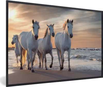 Produktbild von MuchoWow® MuchoWow® Gerahmtes Poster Pferde - Sonne - Strand - Meer 30x20 cm - Poster mit zchwarzem Bilderrahmen - Kunstdruck - Bild-Poster