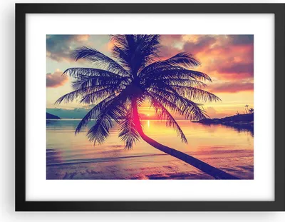 Produktbild von Gerahmtes Poster - Schwarzer Rahmen - Meer Strand Palme - 40x30 cm - Wand Bild - Wanddeko - Wandbilder - Kunstposter - Wandposter - Bilderrahmen - Bilder - Kunstdruck - Wandbild - P2BAA40x30-3925