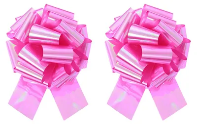 Image de Rubans décoratifs - Diamètre : 25 cm - Idéal pour la décoration de cadeaux et de travaux manuels - Lot de 2 pièces - Couleur : rose vif
