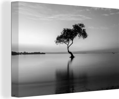 Produktbild von MuchoWow® - Leinwandbilder - Baum im Wasser - schwarz und weiß, Wandbild, Wanddeko Bilder Wohnzimmer, 120x80 cm