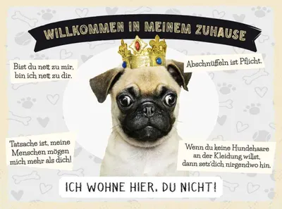 Produktbild von vianmo Holzschild 30x40 cm Tiere Mops willkommen wohne hier Tier Haustier