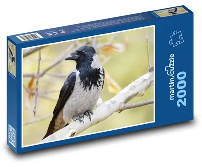 Zdjęcie produktu dla martinpuzzle - Puzzle 2000 - Ptak - wrona
