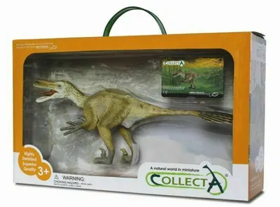 Image de COLLECTA Set cadeau - Préhistoire