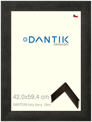 Obrázok produktu pre DANTIK rám 42x59,4 | SARTORI listy čierne (plexisklo číre)