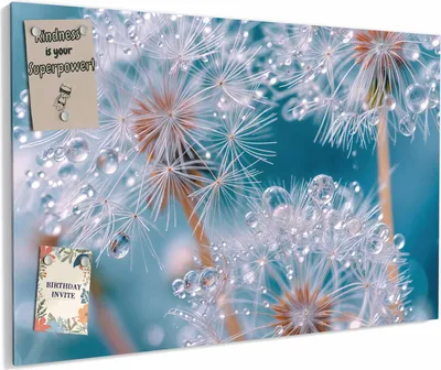 Produktbild von Magnettafel 90x60cm magnetisch & beschreibbar Metall-Board - Wassertropfen Pusteblume