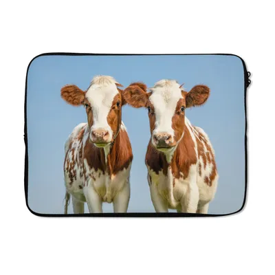 Produktbild von MuchoWow® Laptop Hülle 14 ZollKühe - Himmel - Tiere - Bauernhof - Porträt Laptoptasche - Laptoptasche - Stoßsicher - Schutzhaube