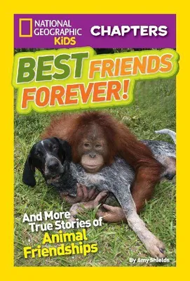 Produktbild von Best Friends Forever!
