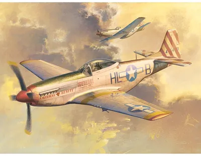 Obrázek produktu pro P-51D Mustang / 1:32