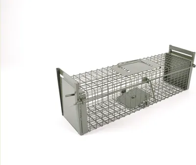 A metal cage trap for catching small animals, presented on a white background.