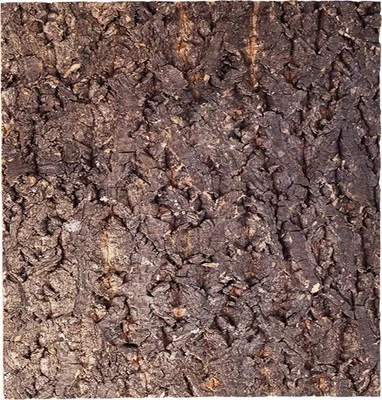 Immagine prodotto di Repti-Zoo Sfondo albero grande - sfondo in corteccia per terrari 30x30cm Repti-Zoo