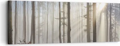 Produktbild von Bild auf Leinwand - Leinwandbild - Wald Baum Natur - 90x30cm - Wand Bild - Wanddeko - Wandbilder - Leinwanddruck - Bilder - Kunstdruck - Wanddekoration - Leinwand bilder - Wandkunst - AB90x30-3749