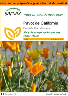 Image de SAFLAX Garden in the bag - Pavot de Californie - 1500 graines - Eschscholzia