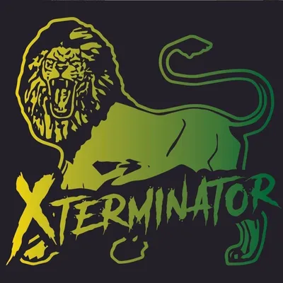Zdjęcie produktu dla Various Artists - XTerminator Xstory (The History Of XTerminator 1987-2011) (180g) (2 LP)