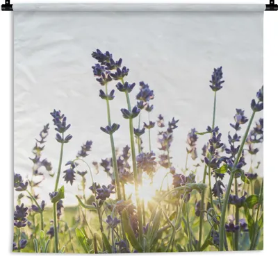 Produktbild von MuchoWow® Wandteppich Wandbehang Nahaufnahme von Lavendel bei Sonnenuntergang 90x90 cm Tapisserie Dekoration Wandtuch - Wandaufhänger
