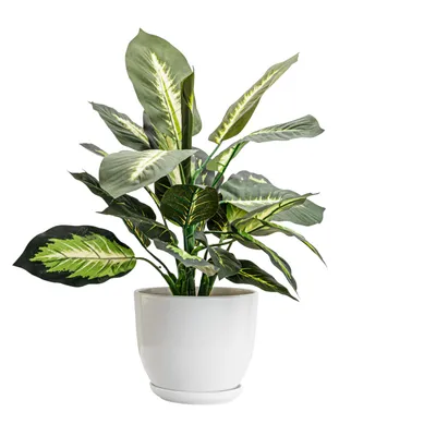 Obrázok produktu pre Keramický kvetináč okrúhly s podšálkou biely 21,5 cm lesklý s drenážnym otvorom