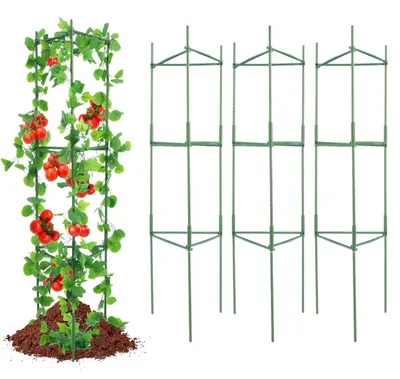 Immagine prodotto di Set di 6 supporti per piante da pomodoro
