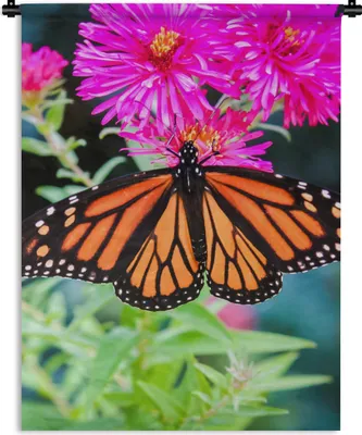 Produktbild von MuchoWow® Wandteppich Wandbehang Schmetterling - Botanisch - Blume 150x200 cm Tapisserie Dekoration Wandtuch - Wandaufhängung - Moderner