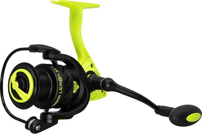 Image de Delphin LEMON 2T 2000 Enrouleur