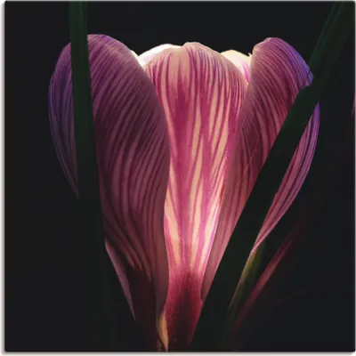 Produktbild von ARTland Leinwandbild Beleuchtet Größe: 70x70 cm